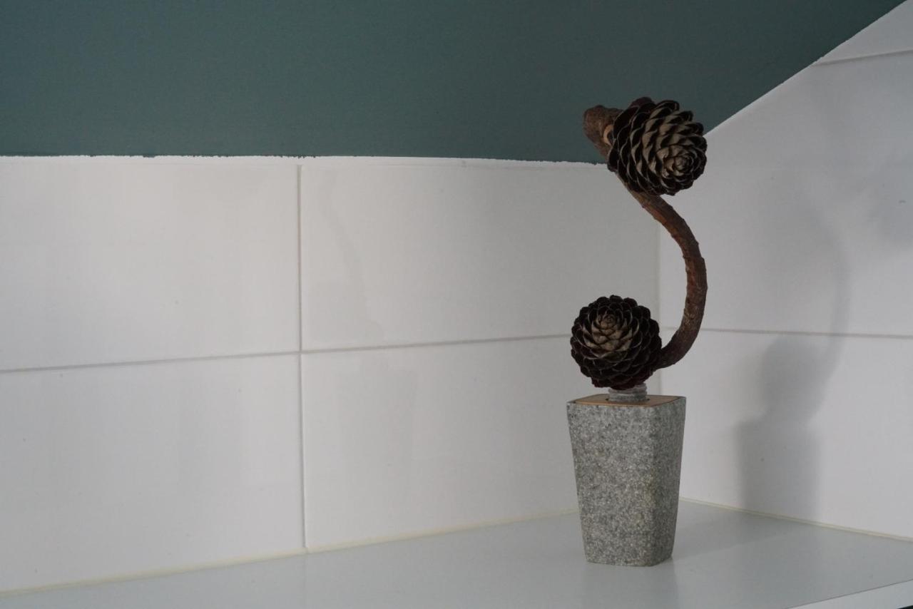 拉戈阿Azores Protea House公寓 外观 照片