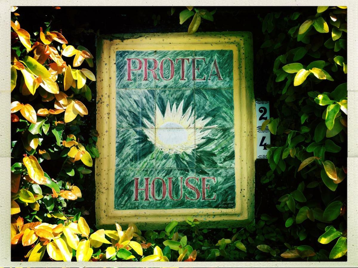 拉戈阿Azores Protea House公寓 外观 照片
